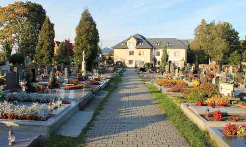 Ewa Zarychta - Alejka na cmentarzu w centrum miasta